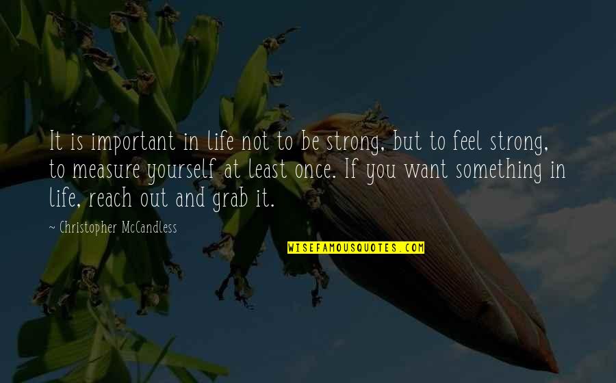Strong But Not Quotes By Christopher McCandless: It is important in life not to be