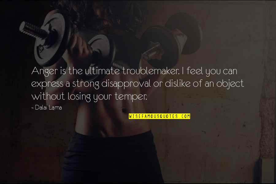 Strong Dislike Quotes By Dalai Lama: Anger is the ultimate troublemaker. I feel you