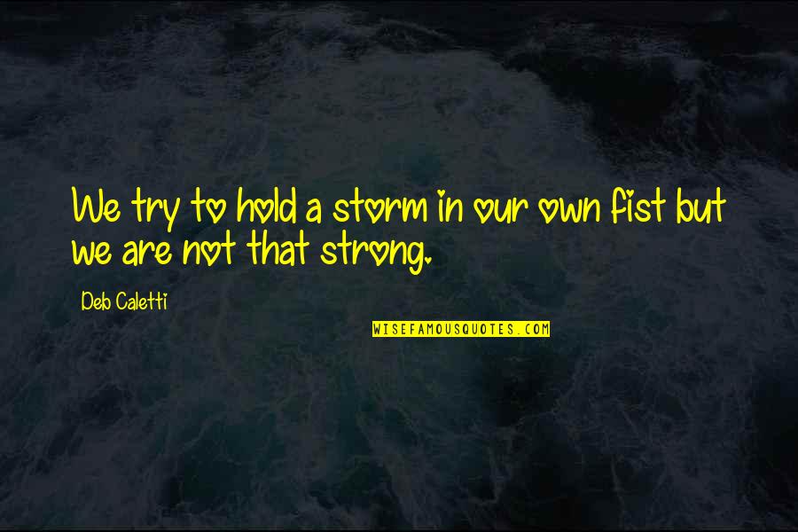 Strong Hold Quotes By Deb Caletti: We try to hold a storm in our