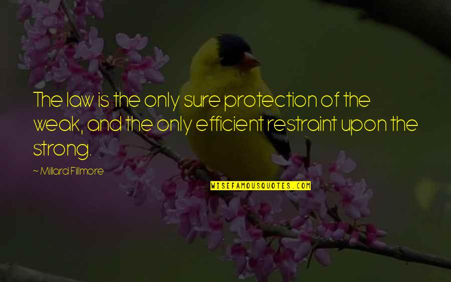 Strong Law Quotes By Millard Fillmore: The law is the only sure protection of