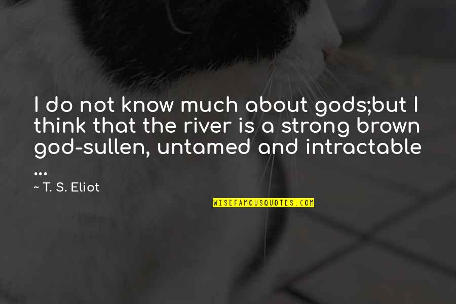Strong Poetry Quotes By T. S. Eliot: I do not know much about gods;but I