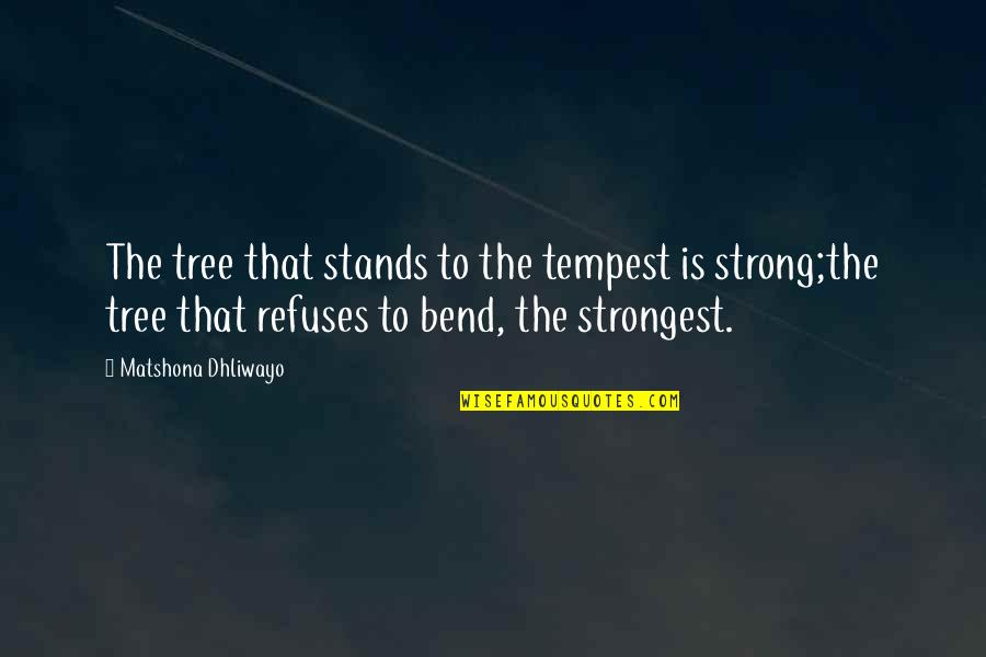 Strong Stands Quotes By Matshona Dhliwayo: The tree that stands to the tempest is