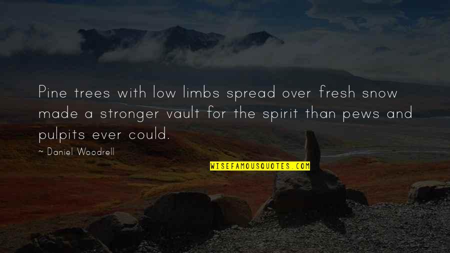 Stronger Than Ever Quotes By Daniel Woodrell: Pine trees with low limbs spread over fresh