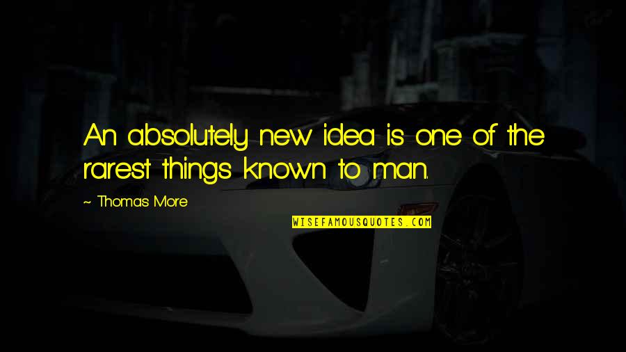 Stronie Slaskie Quotes By Thomas More: An absolutely new idea is one of the
