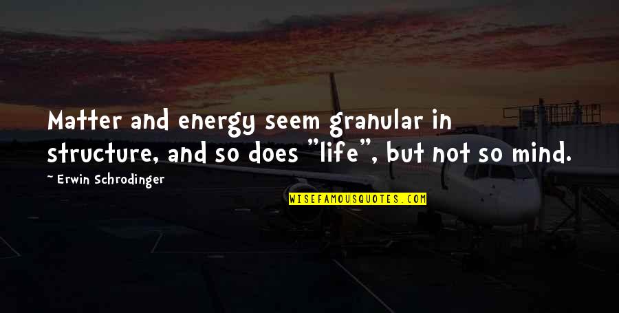 Structure Quotes By Erwin Schrodinger: Matter and energy seem granular in structure, and