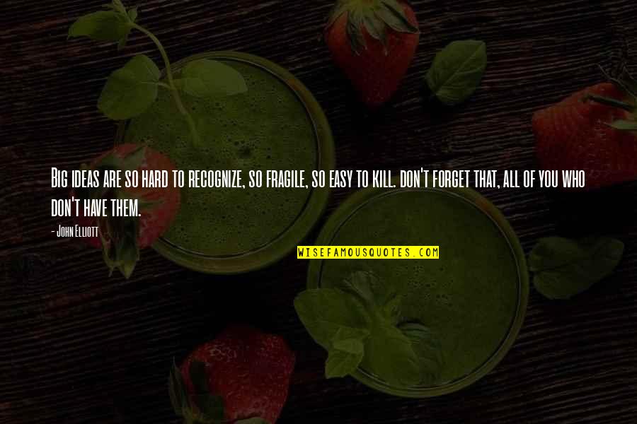 Struebing Quotes By John Elliott: Big ideas are so hard to recognize, so Struebing Quotes By John Elliott: Big ideas are so hard to recognize, so
