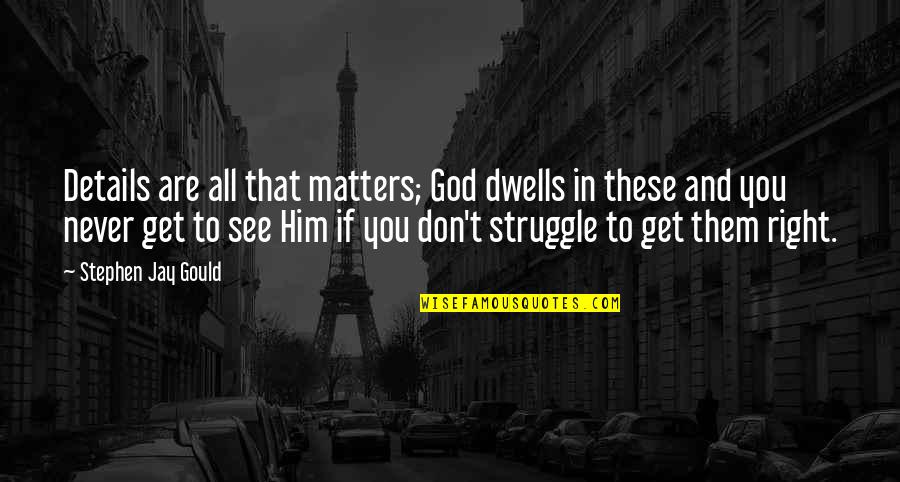 Struggle And God Quotes By Stephen Jay Gould: Details are all that matters; God dwells in