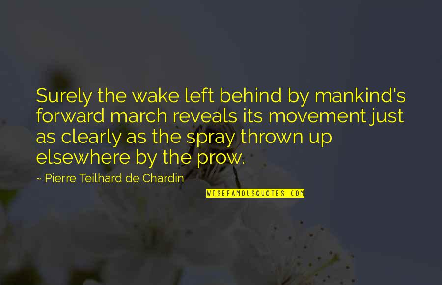 Struggle In Life In Hindi Quotes By Pierre Teilhard De Chardin: Surely the wake left behind by mankind's forward