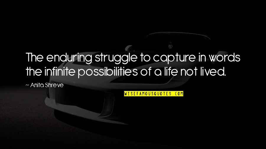 Struggle Of Life Quotes By Anita Shreve: The enduring struggle to capture in words the