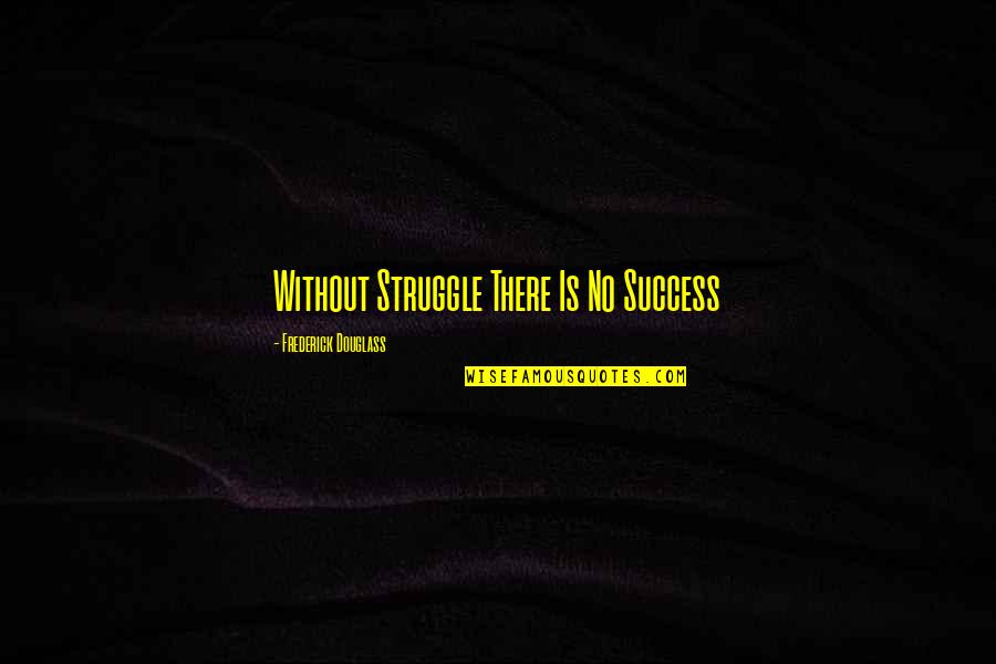 Struggle Success Quotes By Frederick Douglass: Without Struggle There Is No Success