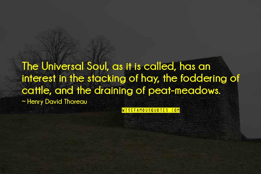 Struller Quotes By Henry David Thoreau: The Universal Soul, as it is called, has