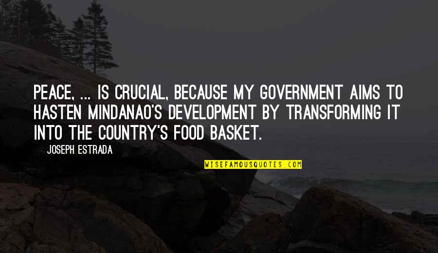 Stryj Jews Quotes By Joseph Estrada: Peace, ... is crucial, because my government aims Stryj Jews Quotes By Joseph Estrada: Peace, ... is crucial, because my government aims