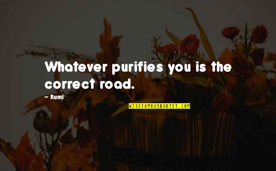 Strykul Quotes By Rumi: Whatever purifies you is the correct road.