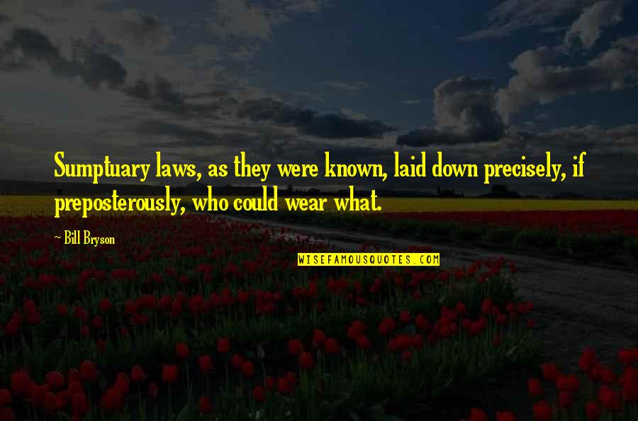 Stuart Briscoe Quotes By Bill Bryson: Sumptuary laws, as they were known, laid down