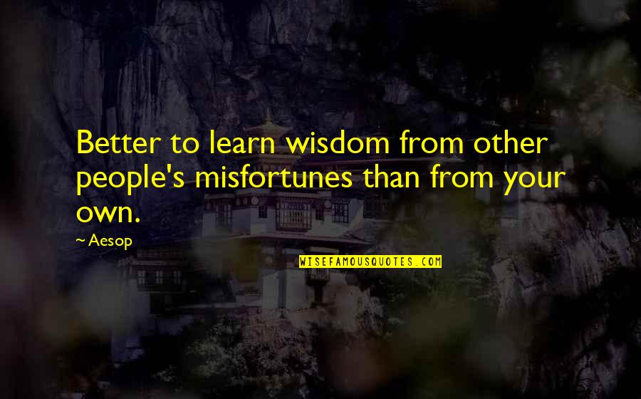Stuart Hampshire Quotes By Aesop: Better to learn wisdom from other people's misfortunes