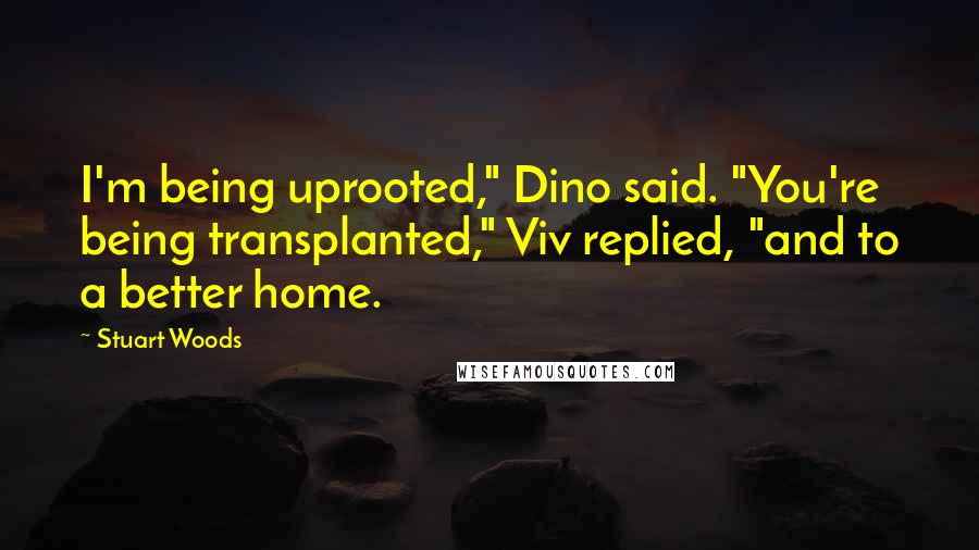 Stuart Woods quotes: I'm being uprooted," Dino said. "You're being transplanted," Viv replied, "and to a better home.