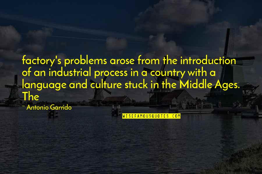 Stuck In The Middle With You Quotes By Antonio Garrido: factory's problems arose from the introduction of an