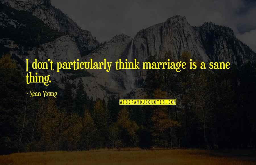Stuck Up Family Members Quotes By Sean Young: I don't particularly think marriage is a sane Stuck Up Family Members Quotes By Sean Young: I don't particularly think marriage is a sane