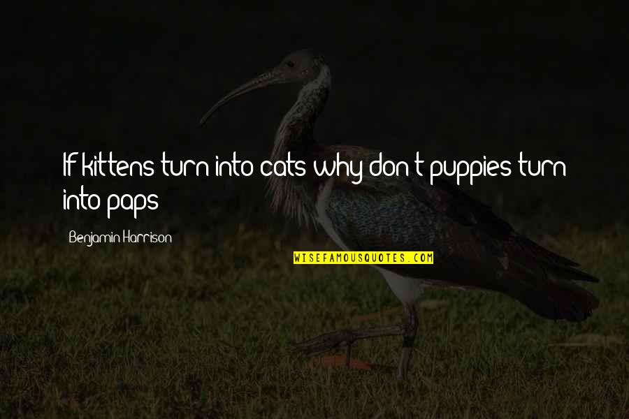 Studded Snow Quotes By Benjamin Harrison: If kittens turn into cats why don't puppies Studded Snow Quotes By Benjamin Harrison: If kittens turn into cats why don't puppies