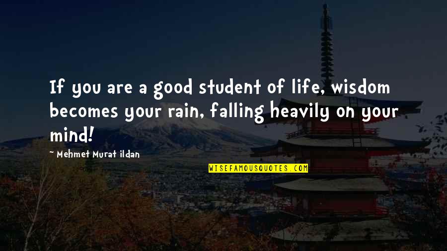 Student Quotes By Mehmet Murat Ildan: If you are a good student of life,
