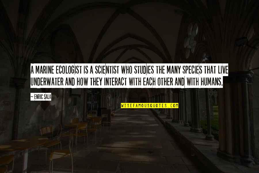 Studies Is Quotes By Enric Sala: A marine ecologist is a scientist who studies
