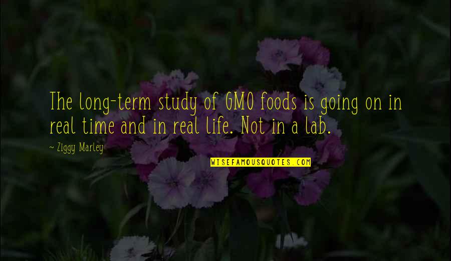 Study Life Quotes By Ziggy Marley: The long-term study of GMO foods is going