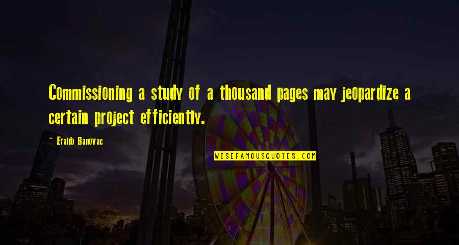 Study Quotes Quotes By Eraldo Banovac: Commissioning a study of a thousand pages may