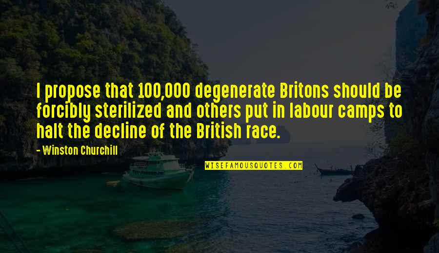 Stuff Happens For A Reason Quotes By Winston Churchill: I propose that 100,000 degenerate Britons should be