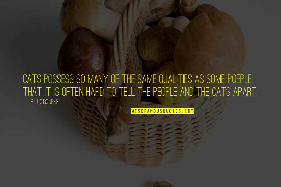 Stuff Tumblr Quotes By P. J. O'Rourke: Cats possess so many of the same qualities