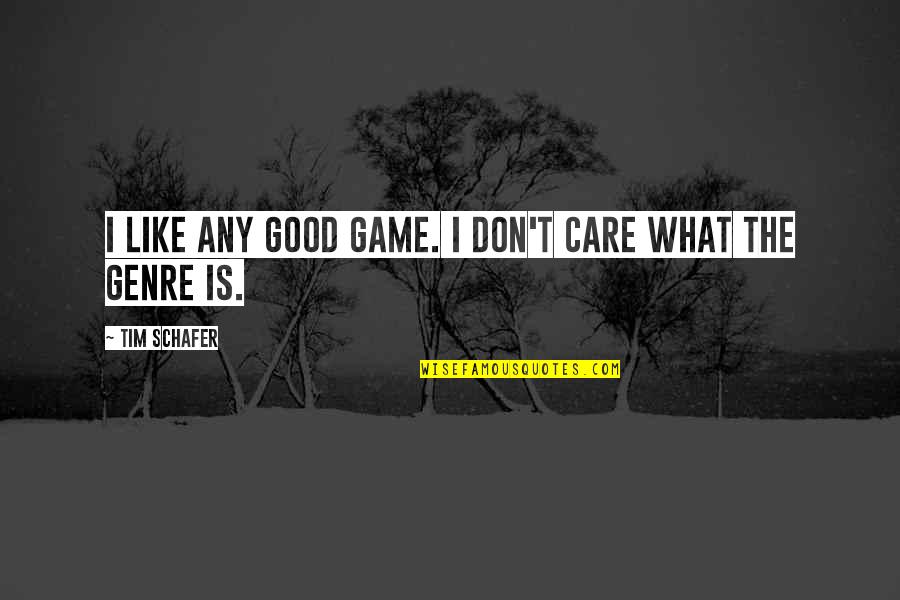 Stukenholtz Laboratories Quotes By Tim Schafer: I like any good game. I don't care