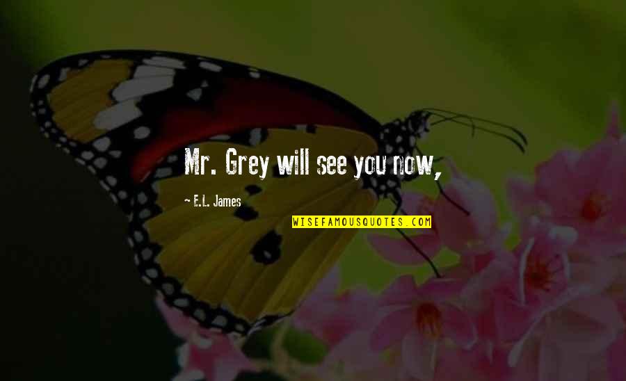 Stuller Tools Quotes By E.L. James: Mr. Grey will see you now,
