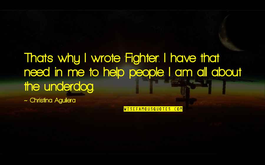 Stumbling On Happiness Best Quotes By Christina Aguilera: That's why I wrote 'Fighter'. I have that