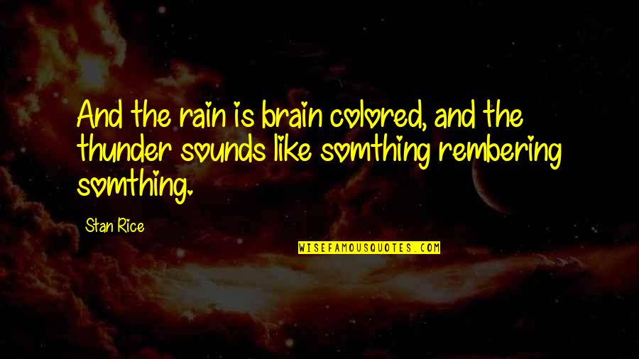 Stundas Quotes By Stan Rice: And the rain is brain colored, and the