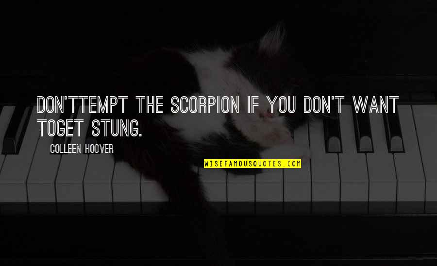 Stung Quotes By Colleen Hoover: Don'ttempt the scorpion if you don't want toget