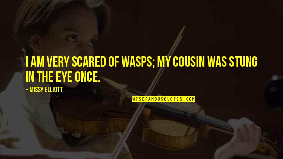 Stung Quotes By Missy Elliott: I am very scared of wasps; my cousin
