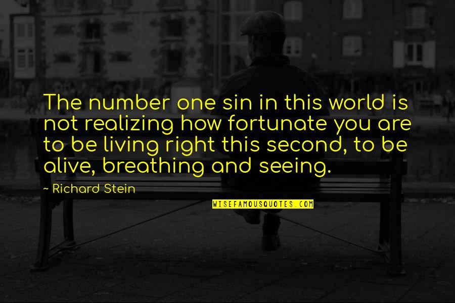 Stunna 4 Quotes By Richard Stein: The number one sin in this world is Stunna 4 Quotes By Richard Stein: The number one sin in this world is