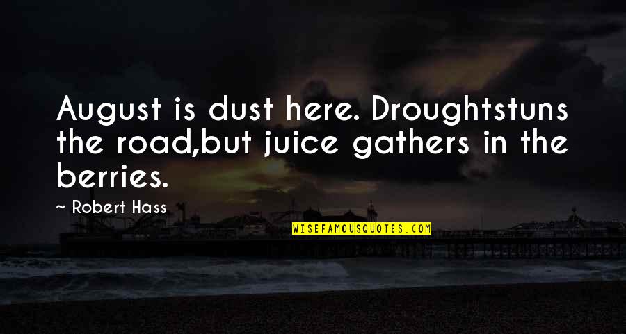 Stuns Quotes By Robert Hass: August is dust here. Droughtstuns the road,but juice