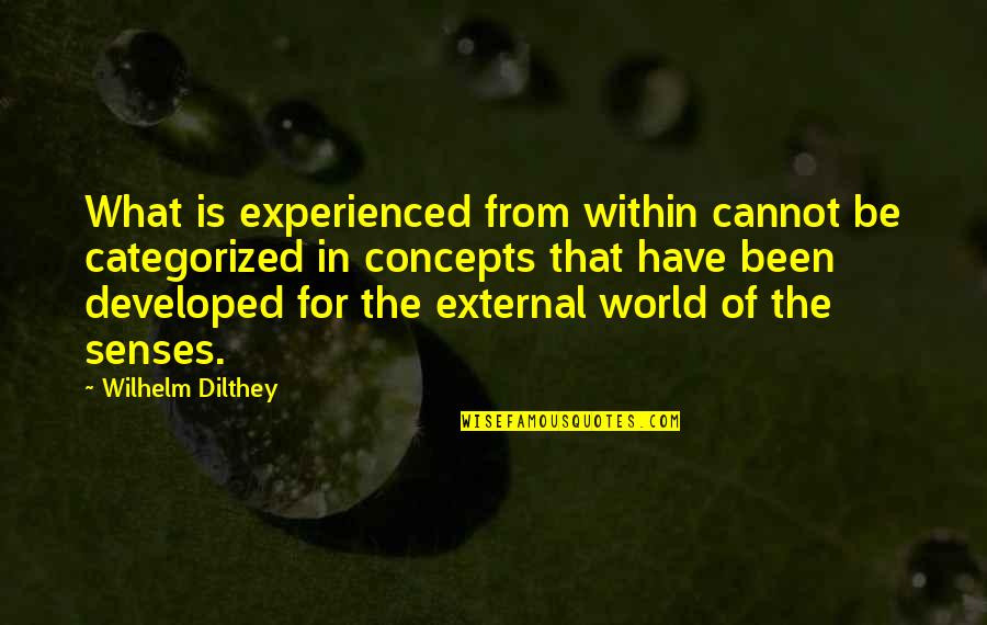 Stuns Quotes By Wilhelm Dilthey: What is experienced from within cannot be categorized Stuns Quotes By Wilhelm Dilthey: What is experienced from within cannot be categorized