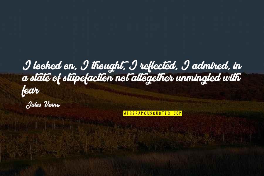 Stupefaction Quotes By Jules Verne: I looked on, I thought, I reflected, I