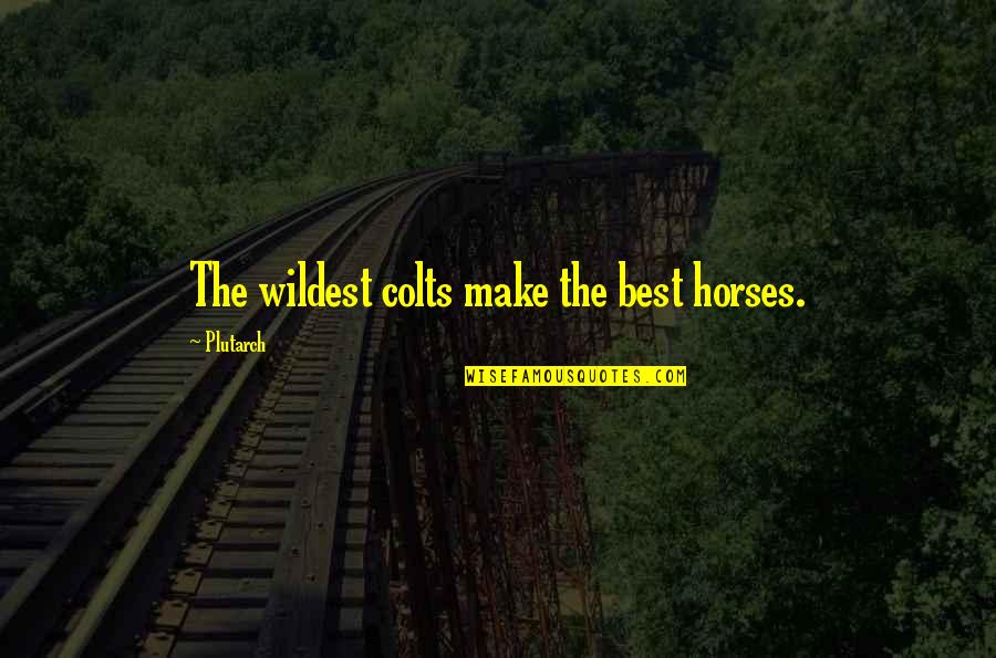 Stupefying Tv Quotes By Plutarch: The wildest colts make the best horses.