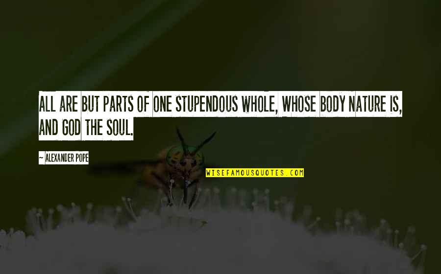 Stupendous Quotes By Alexander Pope: All are but parts of one stupendous whole,