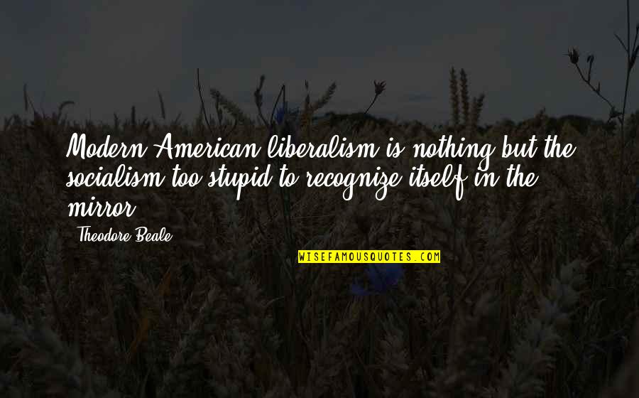 Stupid American Quotes By Theodore Beale: Modern American liberalism is nothing but the socialism