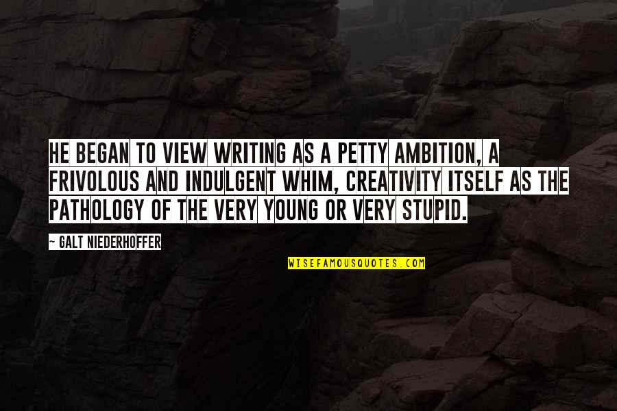 Stupid And Young Quotes By Galt Niederhoffer: He began to view writing as a petty
