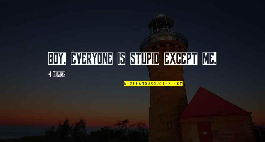 Stupid Boy Quotes By Homer: Boy, everyone is stupid except me.