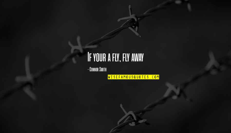 Stupid But Inspirational Quotes By Connor Smith: If your a fly, fly away