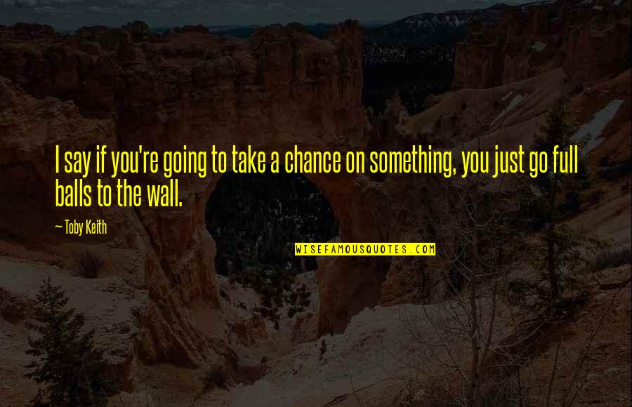 Stupid Dr Quotes By Toby Keith: I say if you're going to take a Stupid Dr Quotes By Toby Keith: I say if you're going to take a