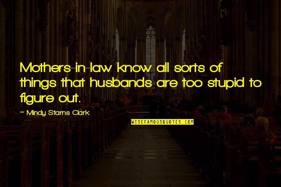 Stupid Ex Husbands Quotes By Mindy Starns Clark: Mothers-in-law know all sorts of things that husbands