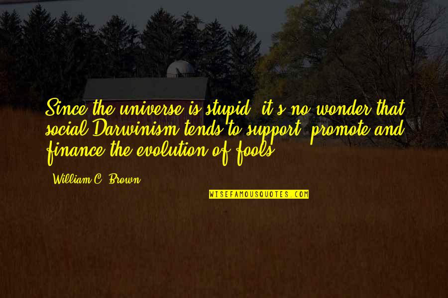 Stupid Fools Quotes By William C. Brown: Since the universe is stupid, it's no wonder