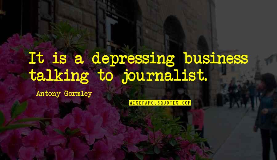 Stupid Gym Quotes By Antony Gormley: It is a depressing business talking to journalist.