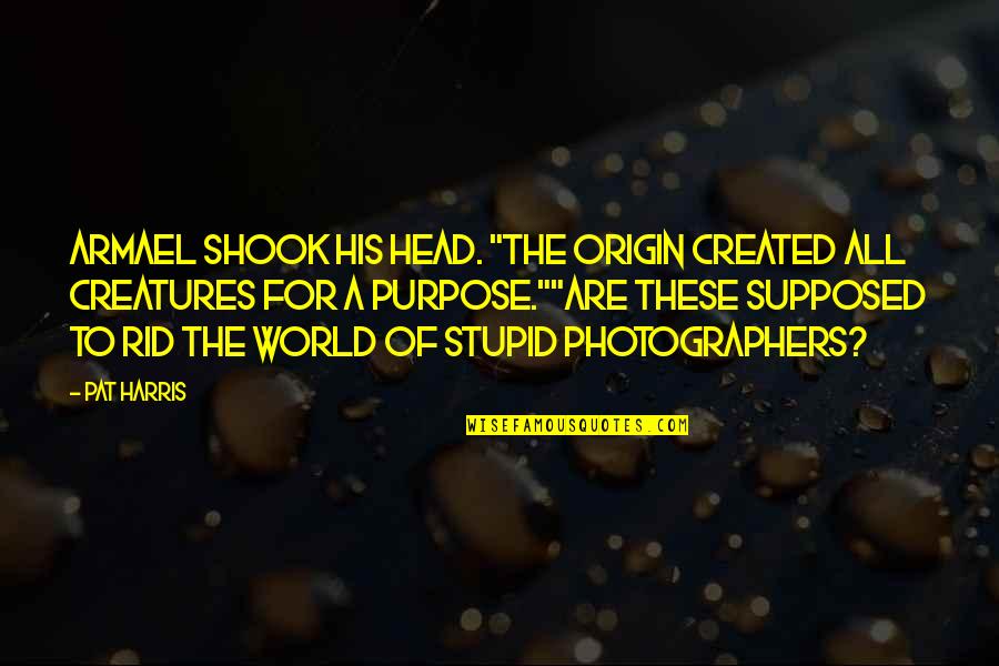 Stupid Humor Quotes By Pat Harris: Armael shook his head. "The Origin created all Stupid Humor Quotes By Pat Harris: Armael shook his head. "The Origin created all